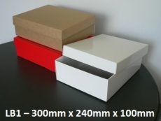 LB1 Large Box with Lid - 300mm x 240mm x 100mm